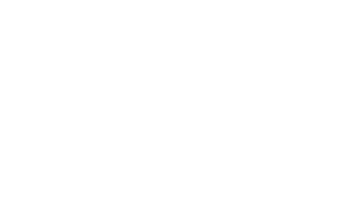 VOX2YOU